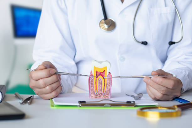 Dentist for Dental Trauma in WI